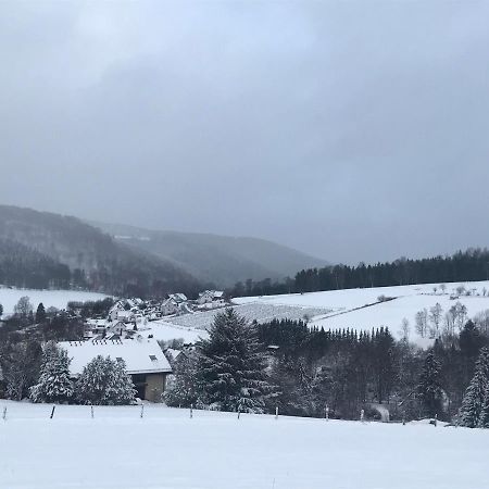 Appartement Familie Willems Winterberg 2 Buitenkant foto
